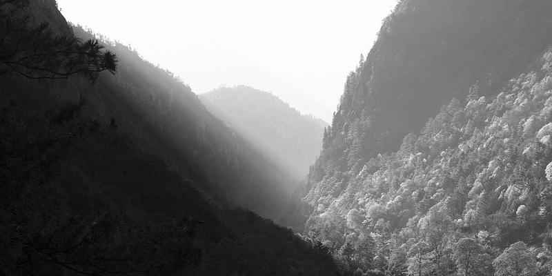 从灯泡到光环境：吊灯选择与照明设计的入门指南