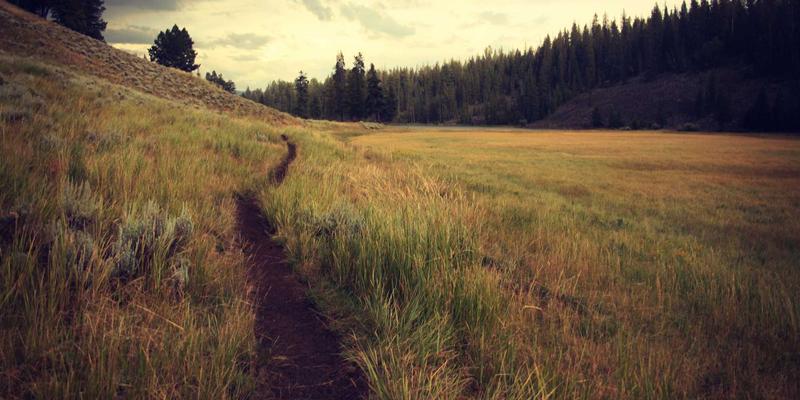 从灯泡到吊灯：现代灯具的演进与选购指南