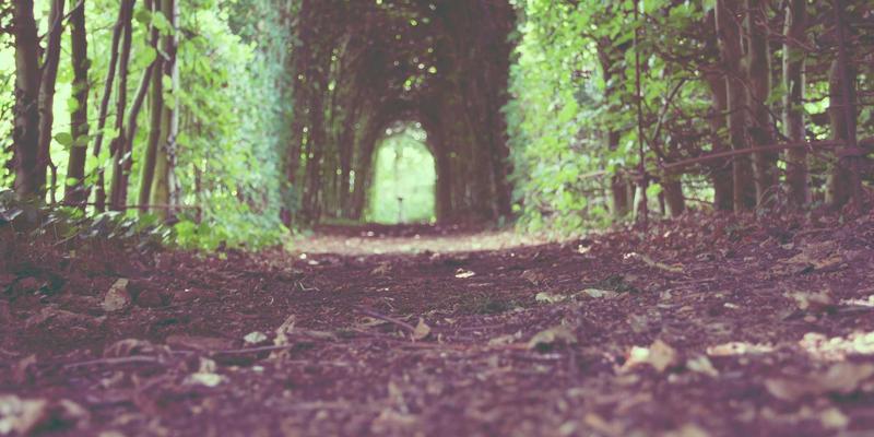 从钨丝到芯片：舞台影视灯光的技术革命与智能照明设计新纪元