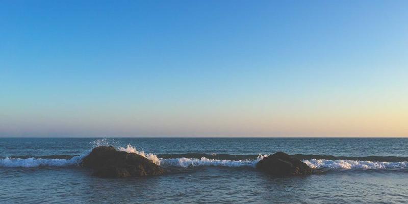 家庭种植新革命：全光谱LED植物补光台灯如何点亮你的多肉、香草与观叶植物