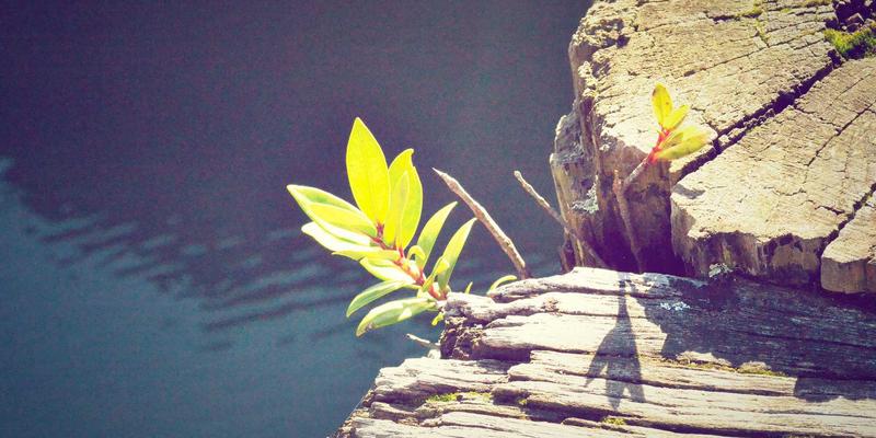 智能灯泡5：未来照明产品的创新与智能家居核心