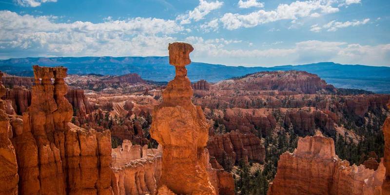 智能灯泡与台灯选购指南：点亮智慧家居生活的灯具新选择