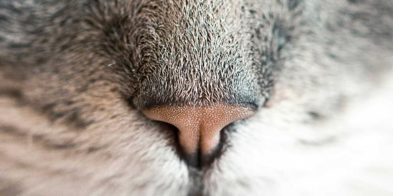 智能灯泡选购指南：告别瓦数误区，用流明与房间面积科学规划照明设计