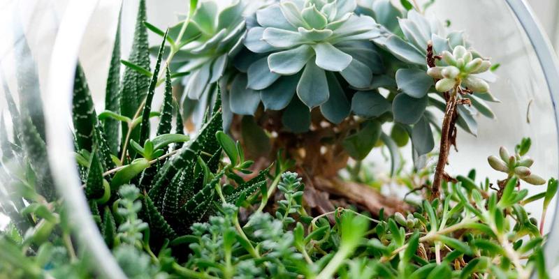 智能照明设计新篇章：如何通过灯泡与传感器联动，实现人来灯亮人走灯灭的智慧场景