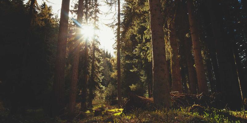 灯泡24：揭秘LED照明新时代，从产品革新到灯光资讯全解析