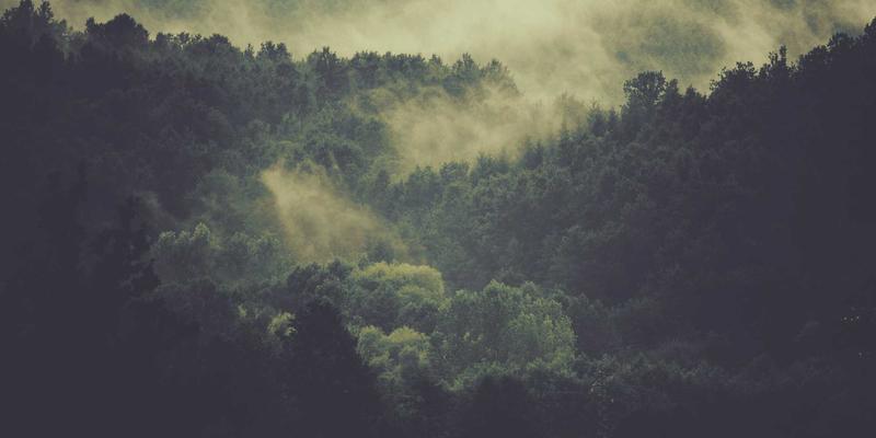 灯泡37：智能照明时代的设计革命与灯光资讯全解析