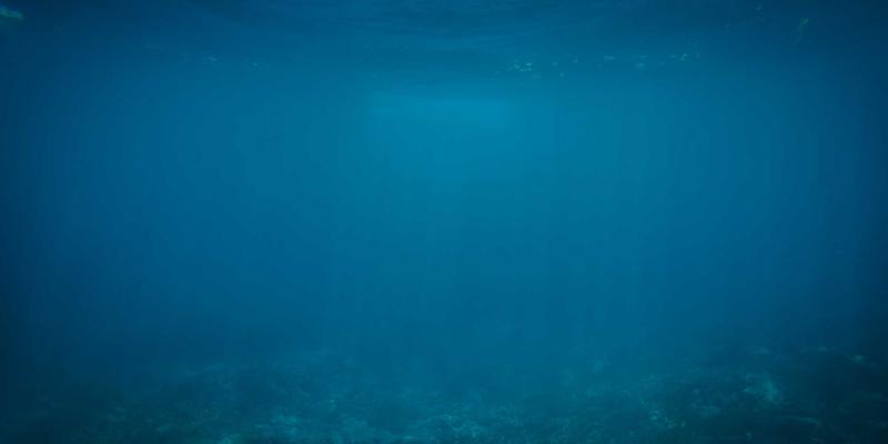 灯泡80:从照明产品到台灯艺术,探索光与生活的完美融合