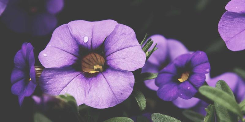 灯泡96：照亮现代生活的照明革新与选购指南