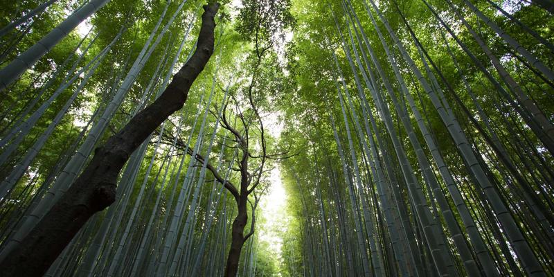 灯泡色温怎么选？2700K、4000K、5000K LED照明对工作效率与情绪的深层影响